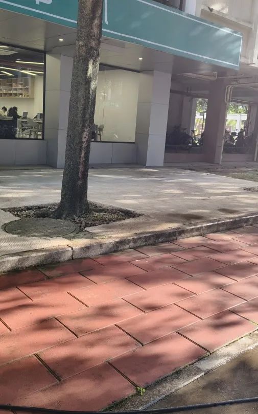 开云kaiyun体育官方网站