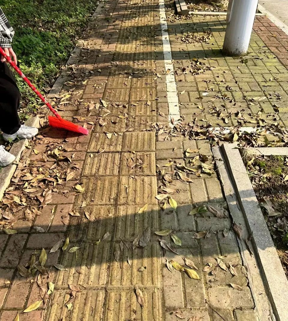 开云kaiyun体育官方网站