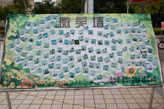 开云kaiyun体育官方网站