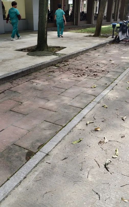 开云kaiyun体育官方网站